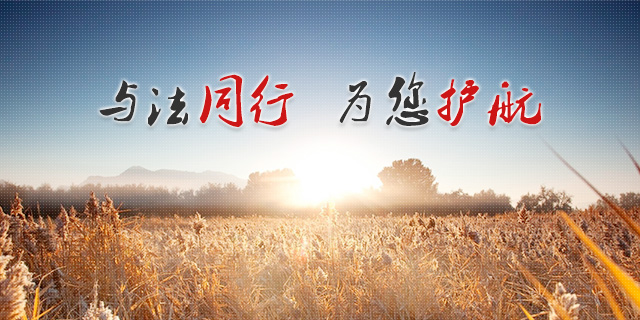 山东专业律师